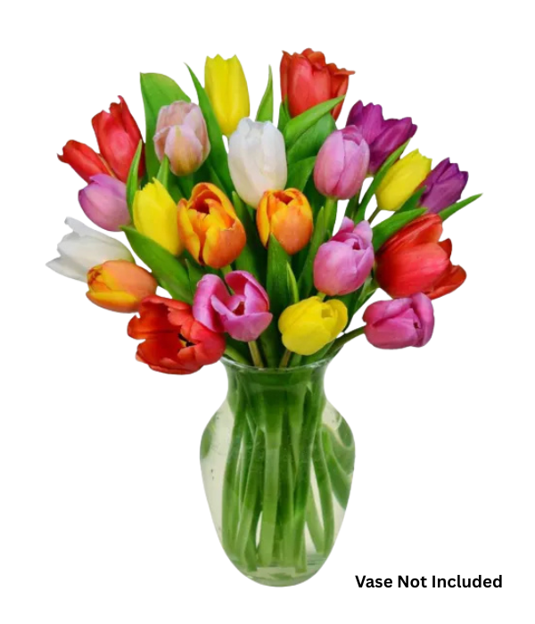 20 Assorted Tulips