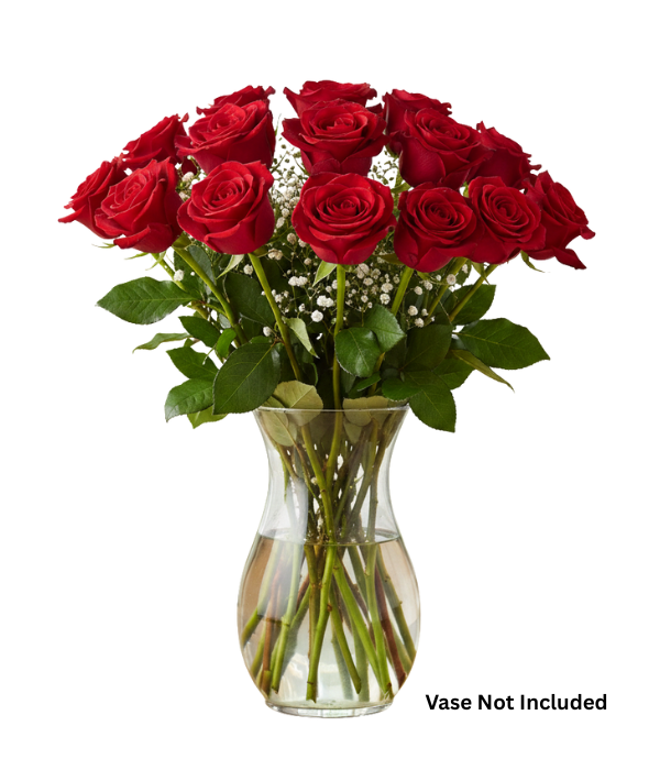 One Dozen Long Stem Red Roses
