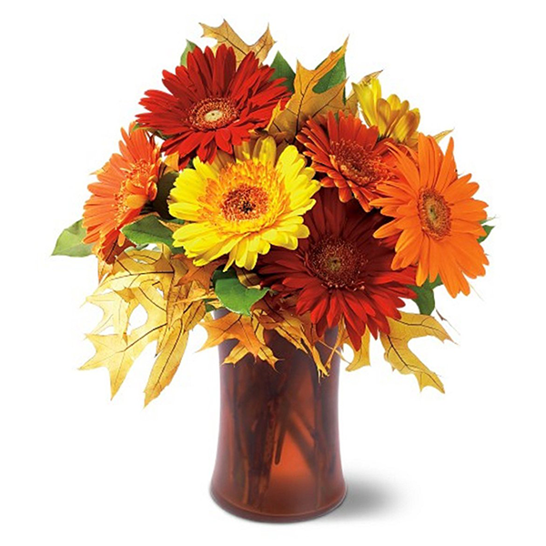 Autumn gerbera daisies in a vase