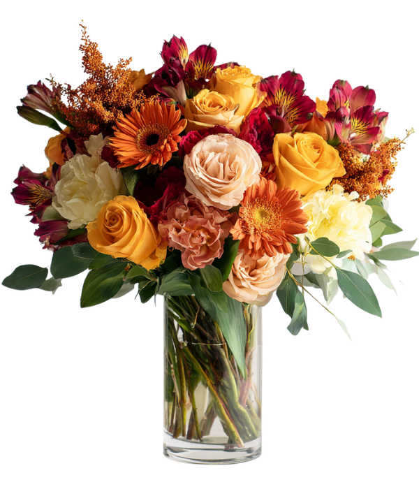 Autumn Designers Collection I