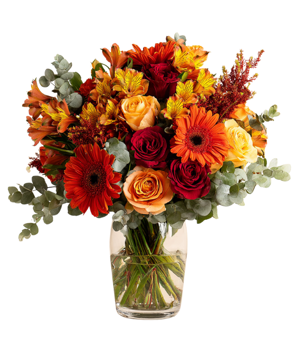 Autumn Designers Collection II