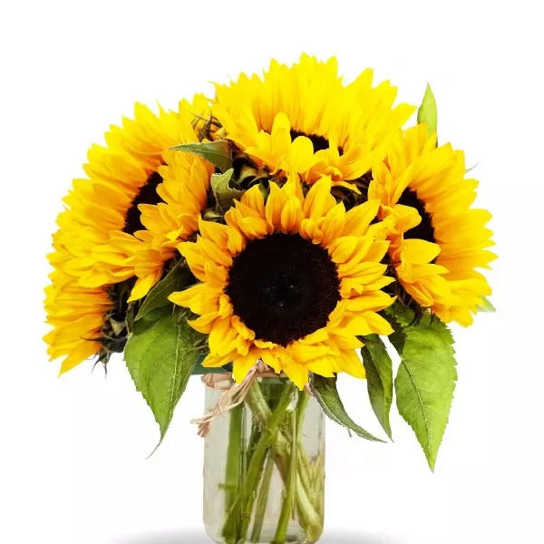 Simply Sunflowers in Mason Jar