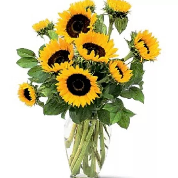 Sunshine Sunflowers
