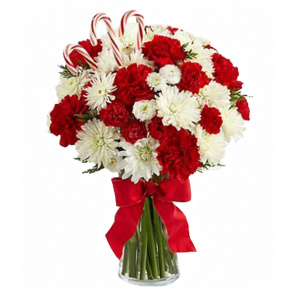 24 Candy Cane Carnations