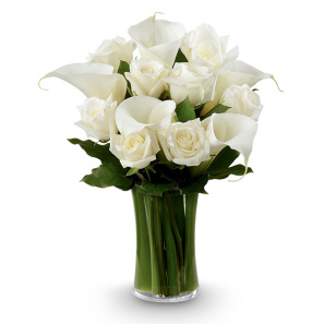 White Elegance